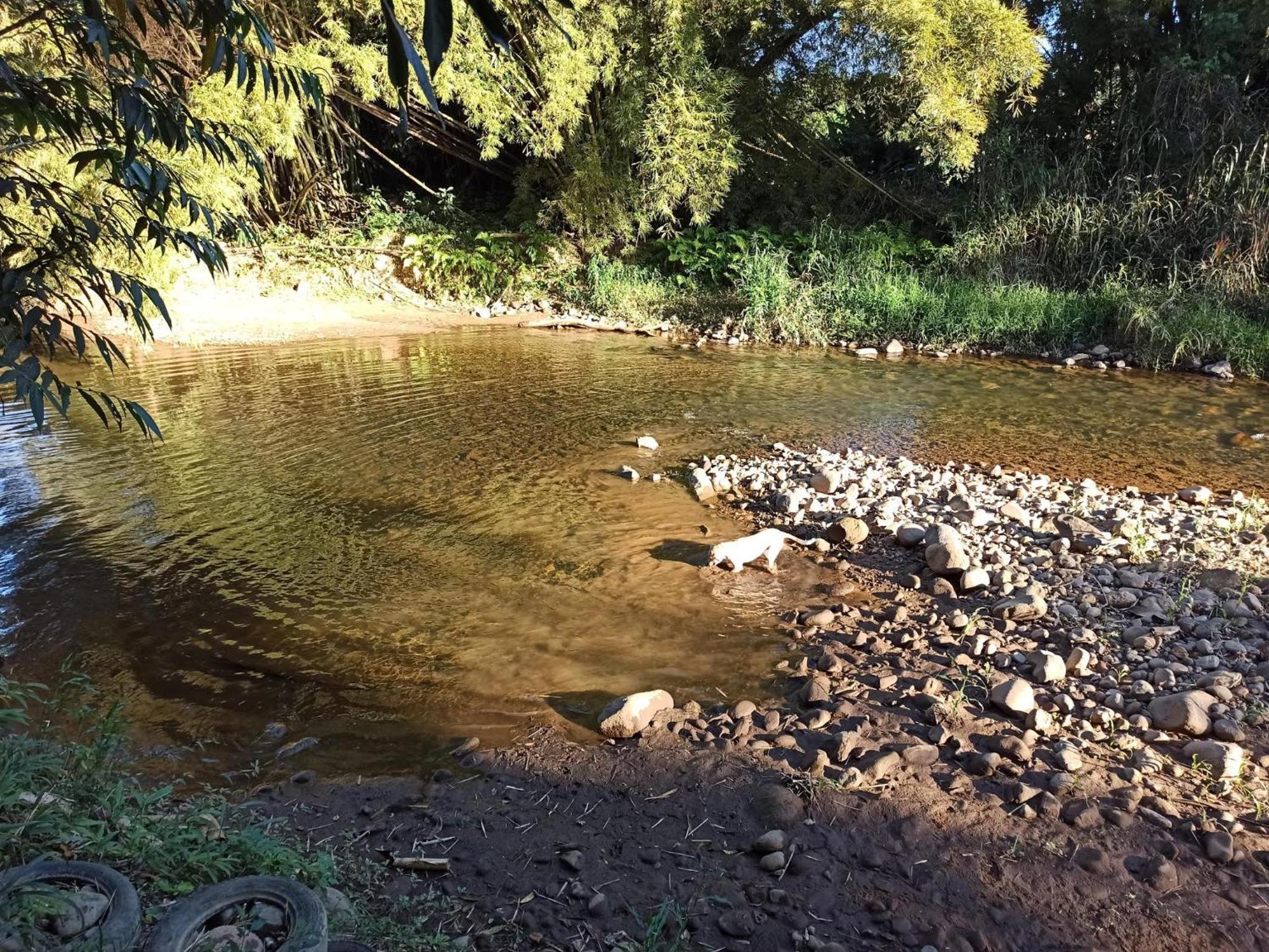 Ecoisa De Chacara - Casa De Vidro, Casa De Campo Morretes Kültér fotó